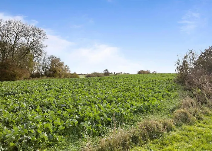 Fy401-faaborg-hornelandevej-110 Daire *